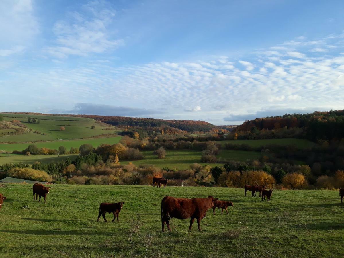 Gite Aux Lauriers Lacroix-sur-Meuse Zewnętrze zdjęcie